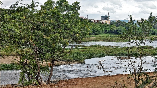 Apart from fieldwork such as site visits, preparation of reports, and execution of desilting, the committee will actively seek CSR funds from private companies for the said work. (HT PHOTO)