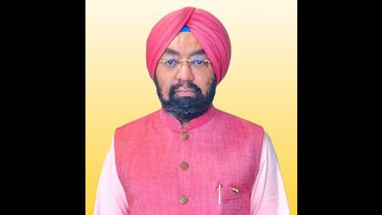 Rajya Sabha member from Punjab Vikramjit Singh Sahney on Sunday said that 17 Indian youths stranded in Lybia for the last six months have been released from jail in Tripoli