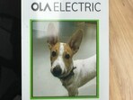 As per the ID card shared on X, the dog’s employee code is ‘440 V’. (Twitter) As per the ID card shared on X, the dog’s employee code is ‘440 V’. (Twitter)