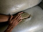 Kratom was declared an opioid by FDA in 2018. Kratom was declared an opioid by FDA in 2018.