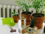 desk