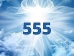 Angel Number 555: It's associated with transition, freedom, and independence.