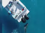 Florida fisherman captures shark attack off Palm Beach coast during Shark Week. Bull shark strikes boat 8 times, causes damage.