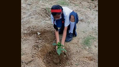 A school student planting a sapling near Chahar toll plaza on Ladhowal Bypass. (HT PHOTO)