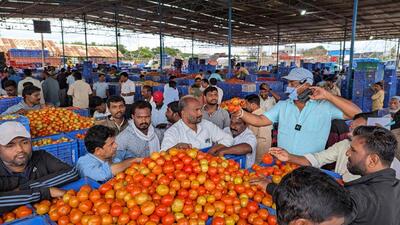 Kolar Police have initiated an investigation into the missing case of a local truck carrying 11 tonnes of tomatoes worth ₹21 lakh. (REUTERS) Kolar Police have initiated an investigation into the missing case of a local truck carrying 11 tonnes of tomatoes worth ₹21 lakh. (REUTERS)