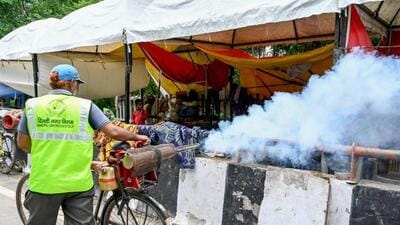 The overall count of dengue cases reported till July 28 now stands at 243 cases. (ANI photo) The overall count of dengue cases reported till July 28 now stands at 243 cases. (ANI photo)