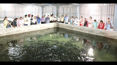 Vet varsity gets ₹52.36-lakh research project to develop aquaculture. (HT PHOTO) Vet varsity gets ₹52.36-lakh research project to develop aquaculture. (HT PHOTO)