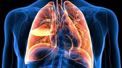 Lung cancer affects smokers the most and over 80% of people who get lung cancers smoke frequently. (Shutterstock) Lung cancer affects smokers the most and over 80% of people who get lung cancers smoke frequently. (Shutterstock)