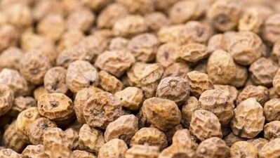 Antioxidant rich: It’s important to have a diet rich in antioxidants to protect the human digestive system from oxidative damage over time, and tiger nuts are a great source of antioxidants. With high vitamin E content and oleic acid, these nuts help protect the body from diseases. (Twitter) Antioxidant rich: It’s important to have a diet rich in antioxidants to protect the human digestive system from oxidative damage over time, and tiger nuts are a great source of antioxidants. With high vitamin E content and oleic acid, these nuts help protect the body from diseases. (Twitter)
