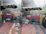 Pug waiting for banana seller.
