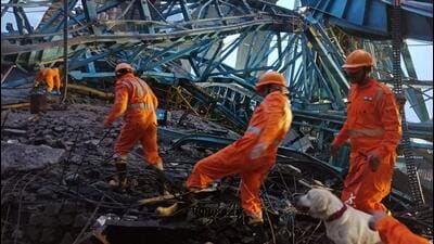 NDRF personnel carry out a search and rescue operation after a crane fell on a bridge slab on the Samruddhi Expressway in Thane on Tuesday. (PTI Photo) NDRF personnel carry out a search and rescue operation after a crane fell on a bridge slab on the Samruddhi Expressway in Thane on Tuesday. (PTI Photo)