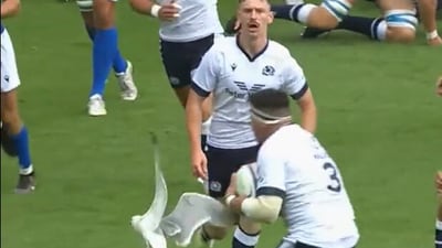 Seagull causes havoc in rugby match, flies in between players. (Twitter/@Summer Nations Series) Seagull causes havoc in rugby match, flies in between players. (Twitter/@Summer Nations Series)