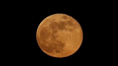 August Supermoon in Aquarius 2023: Find out its impact for each zodiac sign (Reuters File) August Supermoon in Aquarius 2023: Find out its impact for each zodiac sign (Reuters File)