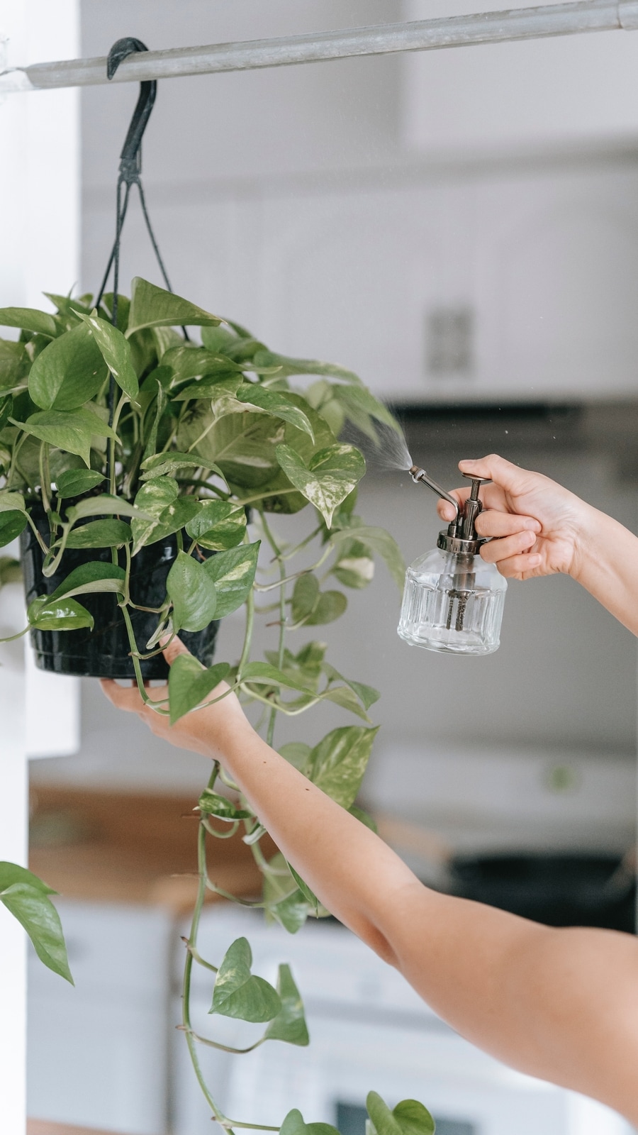 pesticide