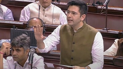 AAP MP Raghav Chadha (ANI)