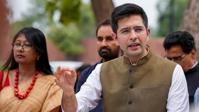 AAP MP Raghav Chadha speaking outside Parliament. (PTI) AAP MP Raghav Chadha speaking outside Parliament. (PTI)