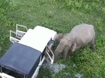 An elephant came towards the car of forest officials and broke a window.