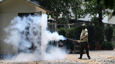 Make sure to cover yourself properly when you go out. Do not visit places where mosquitoes breed like grassy areas, especially at night.&nbsp; (HT Photo/Vipin Kumar)