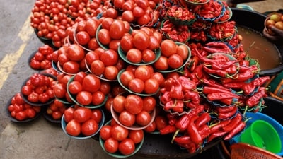 Wholesale prices of tomato at Azadpur mandi, Asia's largest wholesale fruits and vegetables market, were on Wednesday ruling at ₹170-220 per kg. (Bloomberg) Wholesale prices of tomato at Azadpur mandi, Asia's largest wholesale fruits and vegetables market, were on Wednesday ruling at ₹170-220 per kg. (Bloomberg)