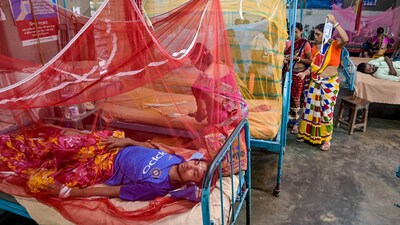 Dengue is a viral infection caused by the dengue virus (DENV), that is transmitted by mosquitoes and usually spikes after the rains every year.&nbsp;&nbsp; (PTI)