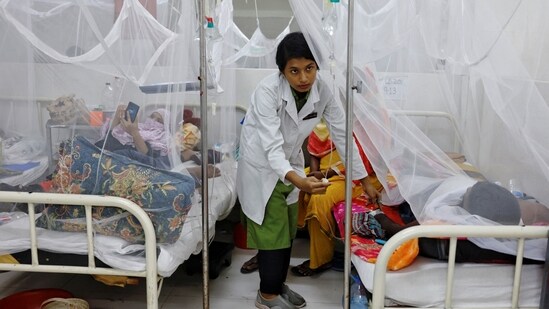 Use mosquito net at night while going to bed and wear repellents throughout the day.&nbsp;&nbsp;(REUTERS)