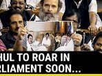 Rahul to return to Parliament soon Rahul to return to Parliament soon