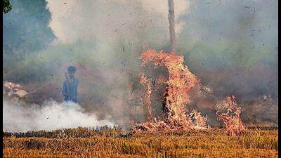 In a setback to Punjab, the Centre has turned down its request to give 100% grant for in-situ and ex-situ management of paddy straw. In a setback to Punjab, the Centre has turned down its request to give 100% grant for in-situ and ex-situ management of paddy straw.