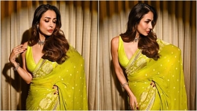 Malaika Arora wears a Banarasi saree and plunge-neck blouse for a photoshoot. (Instagram) Malaika Arora wears a Banarasi saree and plunge-neck blouse for a photoshoot. (Instagram)