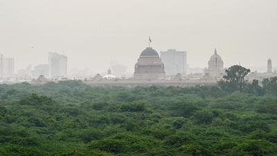 The Central Ridge is part of the Aravallis — characterised by thin top soil and rocky terrain — where even only select native species can thrive, experts said, and the six species planted as part of the vanity project do not feature on the list. (Vipin Kumar/ HT Photo) The Central Ridge is part of the Aravallis — characterised by thin top soil and rocky terrain — where even only select native species can thrive, experts said, and the six species planted as part of the vanity project do not feature on the list. (Vipin Kumar/ HT Photo)