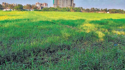 The Hyderabad Metropolitan Development Authority, which conducted the auction, said that the bid for a 3.60-acre plot was bagged by Hyderabad-based Rajapushpa Properties Private Ltd for the highest bid of ₹362.70 crore at the rate of ₹100.75 crore per acre (HT Archives) The Hyderabad Metropolitan Development Authority, which conducted the auction, said that the bid for a 3.60-acre plot was bagged by Hyderabad-based Rajapushpa Properties Private Ltd for the highest bid of ₹362.70 crore at the rate of ₹100.75 crore per acre (HT Archives)