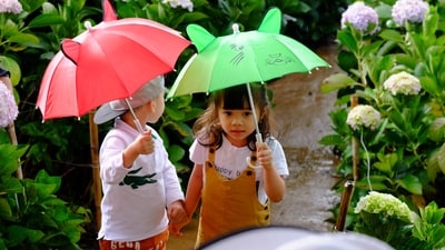 6 tips to protect your child from malaria, dengue or any other monsoon illness (Photo by Apaha Spi on Unsplash) 6 tips to protect your child from malaria, dengue or any other monsoon illness (Photo by Apaha Spi on Unsplash)