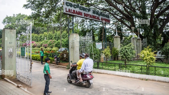 Officials are expecting over 10 lakh tourists to visit the flower show, among other dignitaries. (Alamy)