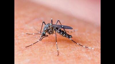 Mohali DC Jain urged resident welfare associations and maintenance societies to keep roofs clean and drain out stagnant water to keep the mosquito larvae away. (HT Photo)