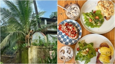Suhana also shared photos of scenic views from Goa and what she ate during an outing in Goa. (Instagram) Suhana also shared photos of scenic views from Goa and what she ate during an outing in Goa. (Instagram)
