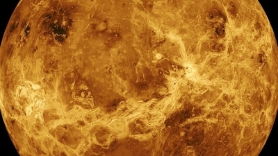 Venus’ Re-Entry In Cancer To Pave New Paths Ahead on August 7, 2023. (Pixabay) Venus’ Re-Entry In Cancer To Pave New Paths Ahead on August 7, 2023. (Pixabay)