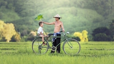 Male infertility: 7 ways men can take care of their sperm health (Image by Sasin Tipchai from Pixabay) Male infertility: 7 ways men can take care of their sperm health (Image by Sasin Tipchai from Pixabay)