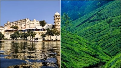 Here are 6 places perfect to spend the Independence Day 2023 long weekend. (Krishna Priya Pallavi, Pexels) Here are 6 places perfect to spend the Independence Day 2023 long weekend. (Krishna Priya Pallavi, Pexels)