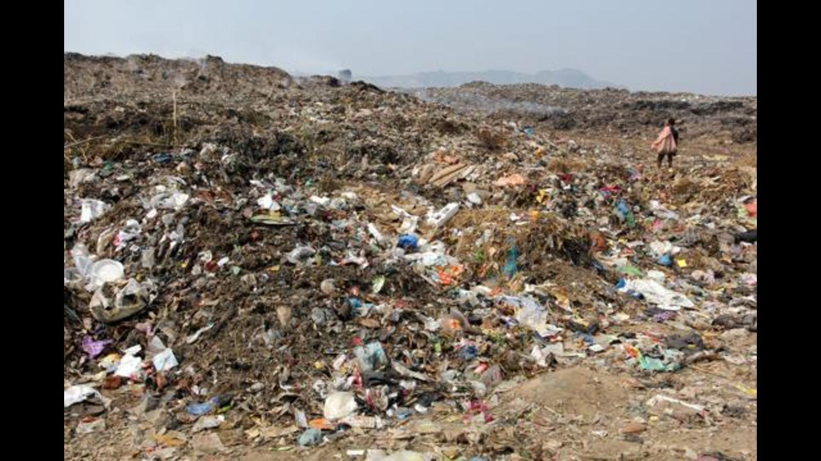 2 junk dealers fined ₹24,310 for stocking dry waste in Chandigarh - Vimarsana News