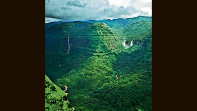 According to the study, Maharashtra, which includes part of the western ghats – one of the four biodiversity hotspots in India – is home to 783 tree species. (HT PHOTO)