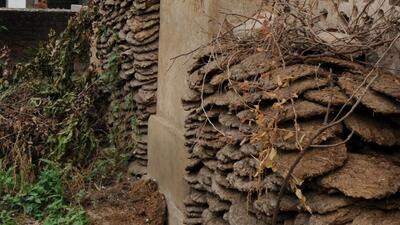 As owners failed to shift dairies outside Karnal city, the Karnal MC has decided to start the collection of cow dung from dairies in the city and will also dispose it of. (HT File Photo) As owners failed to shift dairies outside Karnal city, the Karnal MC has decided to start the collection of cow dung from dairies in the city and will also dispose it of. (HT File Photo)