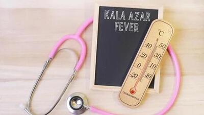 Kala Aazar is a disease caused by an infection with protozoan parasite that enter the body through the bite of an infected female sand fly or ‘balu makhi’, as it is called in local parlance. (Representative Image) Kala Aazar is a disease caused by an infection with protozoan parasite that enter the body through the bite of an infected female sand fly or ‘balu makhi’, as it is called in local parlance. (Representative Image)