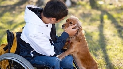To execute particular duties that their human counterparts would find difficult due to their physical, neurological, or psychological impairments, these canines go through intense training (Freepik) To execute particular duties that their human counterparts would find difficult due to their physical, neurological, or psychological impairments, these canines go through intense training (Freepik)