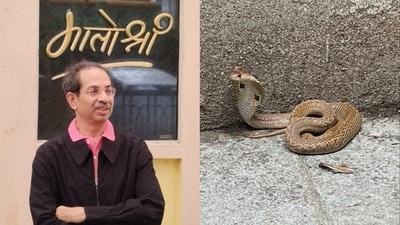 Snake found at Uddhav Thackeray's residence Matoshree in Mumbai. Snake found at Uddhav Thackeray's residence Matoshree in Mumbai.