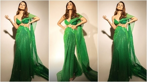 Malaika Arora stuns in an Amit Aggarwal saree. (Instagram) Malaika Arora stuns in an Amit Aggarwal saree. (Instagram)