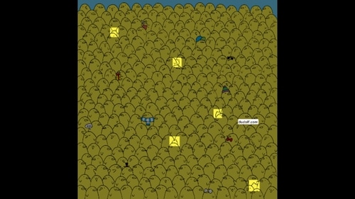 Brain Teaser: The image highlights five lemons among chicks. (Gergely Dudás) Brain Teaser: The image highlights five lemons among chicks. (Gergely Dudás)