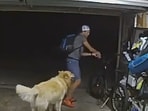 Screengrab of the video