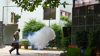 An NDMC worker fumigates an area in the city. (Vipin Kumar/HT Photo) An NDMC worker fumigates an area in the city. (Vipin Kumar/HT Photo)