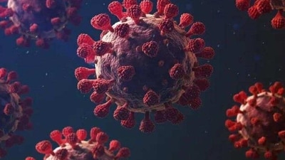 Experts opine that there is a need to keep a close eye on this new strain which is of Omicron lineage and spreads faster than the original Covid-19 virus. Experts opine that there is a need to keep a close eye on this new strain which is of Omicron lineage and spreads faster than the original Covid-19 virus.