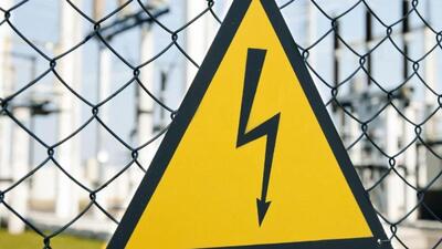 Eight buffaloes electrocuted to death in Khanna village in Ludhiana. (HT FILE) Eight buffaloes electrocuted to death in Khanna village in Ludhiana. (HT FILE)