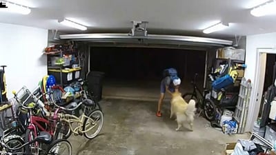Snapshot of the thief playing with the dog. (Instagram/@San Diego Police Department) Snapshot of the thief playing with the dog. (Instagram/@San Diego Police Department)
